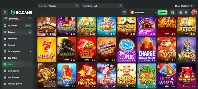 The Exciting World of Online Casino BC Game